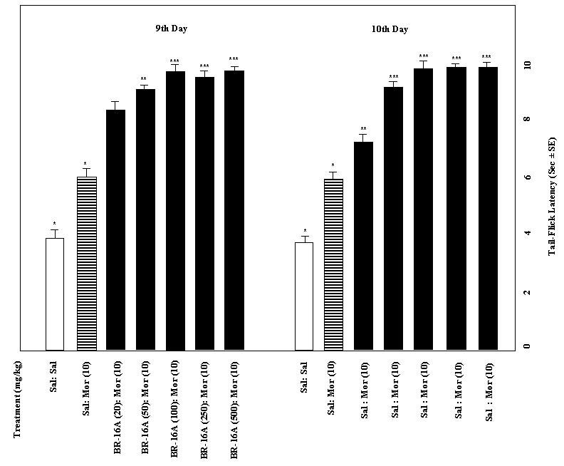 Fig. 2: Effect of various doses of Mentat on development of tolerance to analgesic effect of morphine on days 9 and 10 of testing. *p<0.05 as compared with sal: sal. treated control. *p<0.05, **p<0.