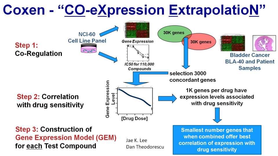 Coxen - CO-eXpression ExtrapolatioN Presented By Peter Black at 2018