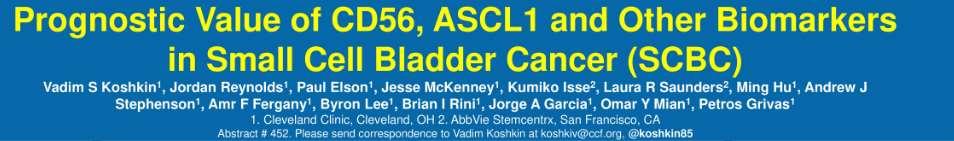 Abs 452 Small cell bladder cancer is a rare subtype representing about 1% of bladder cancers.