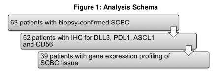 Assessment of gene and protein expression of other neuroendocrine markers (ASCL1 and CD56) can add additional prognostic value in small cell bladder carcinoma Conclusions: Most SCBC tumors express