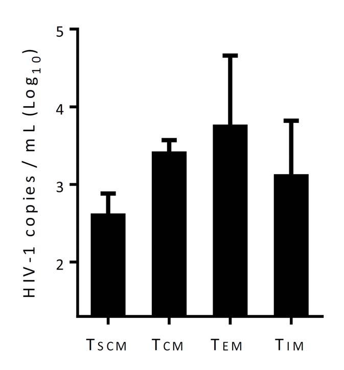 Supplementary Figure 4 Supplementary Figure 4: Virus production by memory CD4+ T cell subsets.