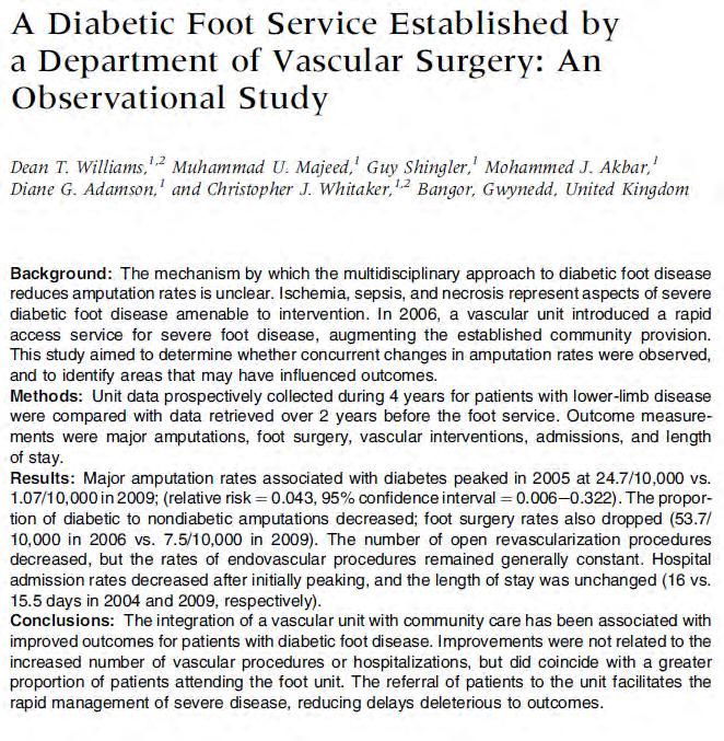 The Need for a Diabetic Foot Service Costs Single Center Study