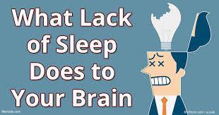 Sleep and brain function Sleep is vital to survival People who don t get 7 hours sleep per night Concentration, coordination, memory, and mood