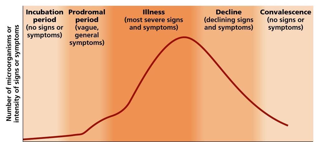 Disease Stages Incubation period: Time