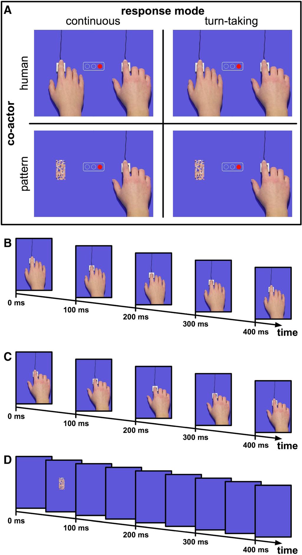 152 Atten Percept Psychophys (2016) 78:143 158 Fig. 5 Experimental design and stimuli used in Experiment 3 (a). Response sequence of the human co-actor (human hand). (b).