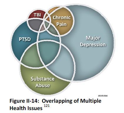 Common Co-Morbidities with PTSD in Veterans Substance abuse