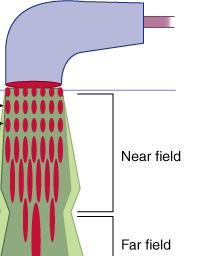 FIELDS OF US Fresnal zone (Near field): Area of the ultrasound beam closest to the transducer.
