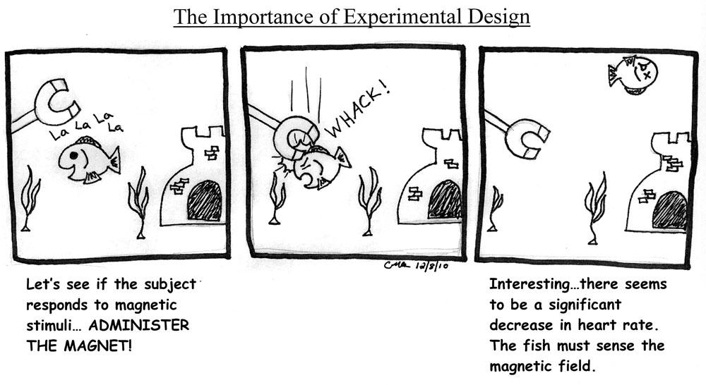 Experimental design Experimental design