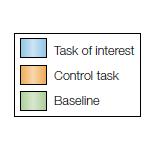 Task B REST Task A vs. No-task ( vs.