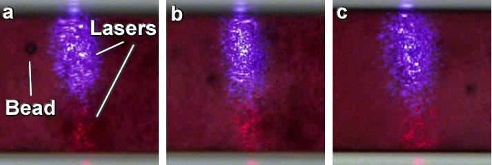 Supplementary Figure 8. (a-b) In vitro PA focusing of 25-μm polystyrene beads in single file in blood flow between two linear laser beams.