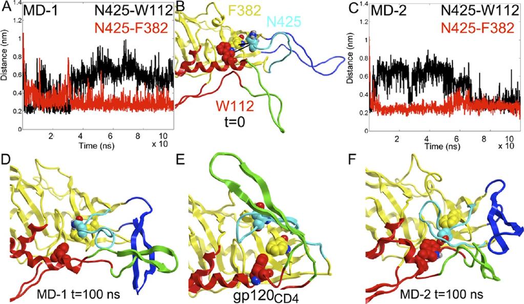 Figure 4. The role of N425 in β20/β21 rearrangement. (A) The minimum distances between N425 and W112 (black) and N425 and F382 (red) in MD-1 and (C) MD-2.