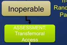Nested Registries Inoperable ASSESSMENT: Transfemoral Access n=500 Randomized Patients