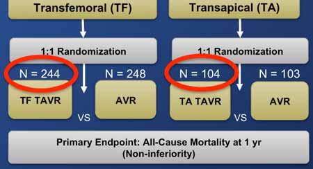 Randomization Not In Study N = 244 N = 248 N = 104 N = 103 N = 179 N = 179 TF TAVR VS AVR TA TAVR VS AVR TF TAVR VS Standard Therapy Primary Endpoint: All-Cause Mortality at 1 yr