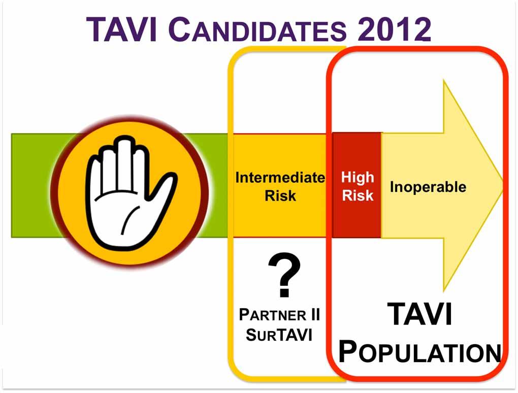 TAVI CANDIDATES 2012 Low Risk Intermediate Risk High Risk
