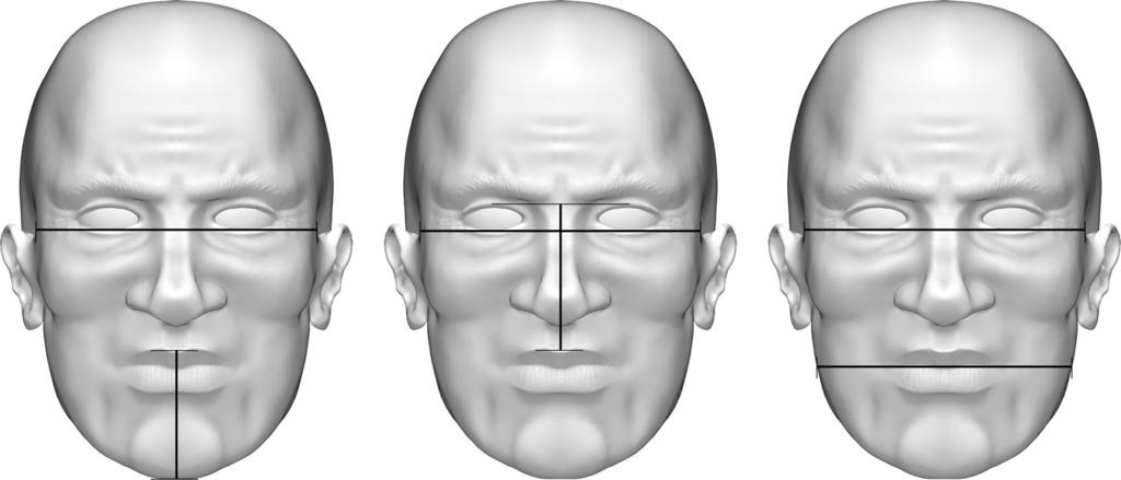 Height ^ weight illusion 123 (a) (b) (c) Figure 2. Measures used to calculate facial cues according to Coetzee et al (2010).