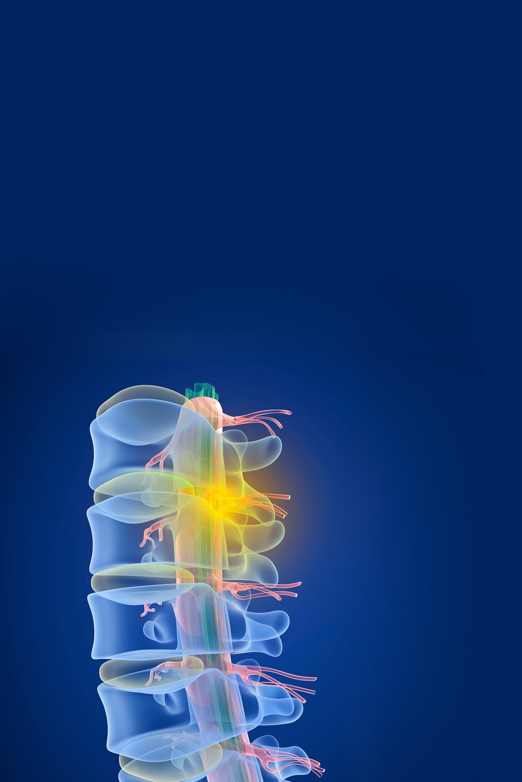 ASIPP Educational Services Excellence in the education of Interventional Pain Physicians INTERVENTIONAL TECHNIQUES COMPREHENSIVE REVIEW