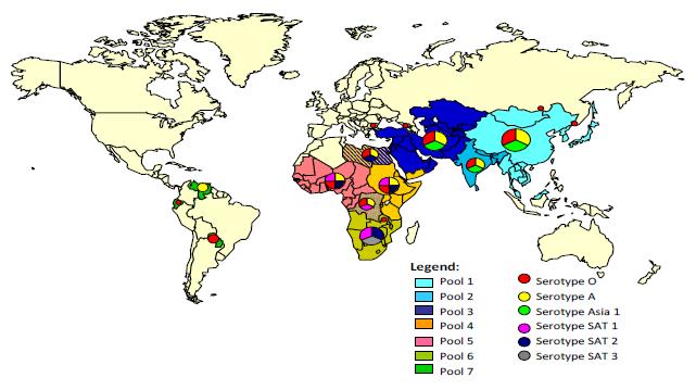 I. GENERAL OVERVIEW Foot-and-mouth disease (FMD) distribution by Serotype and the seven virus pools, 2010-2013 (Map 1) Pools represent independently circulating and evolving FMDV genotypes; within