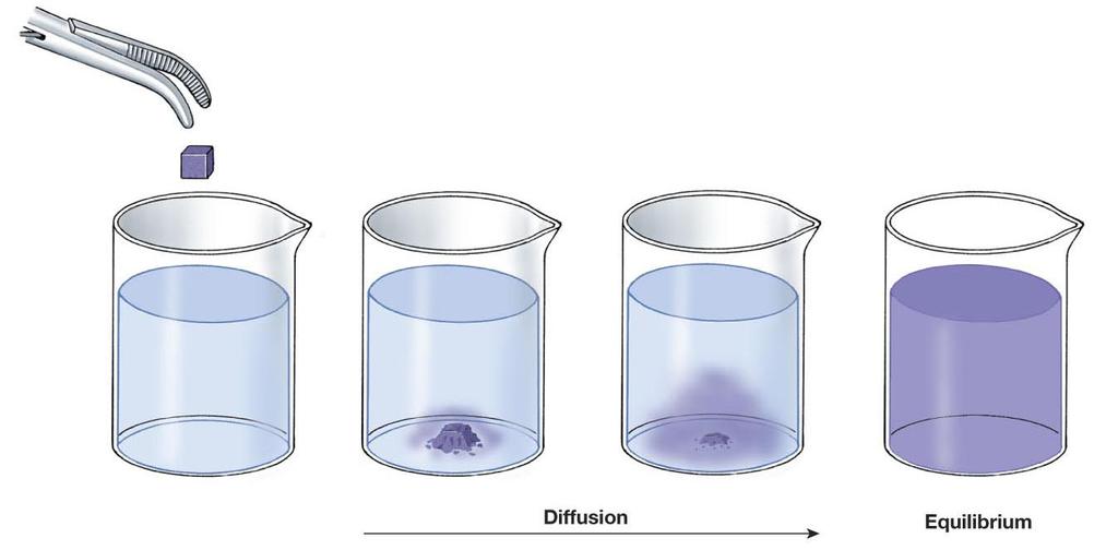 Diffusion in a Solution Diffusion Across a Membrane Diffusion
