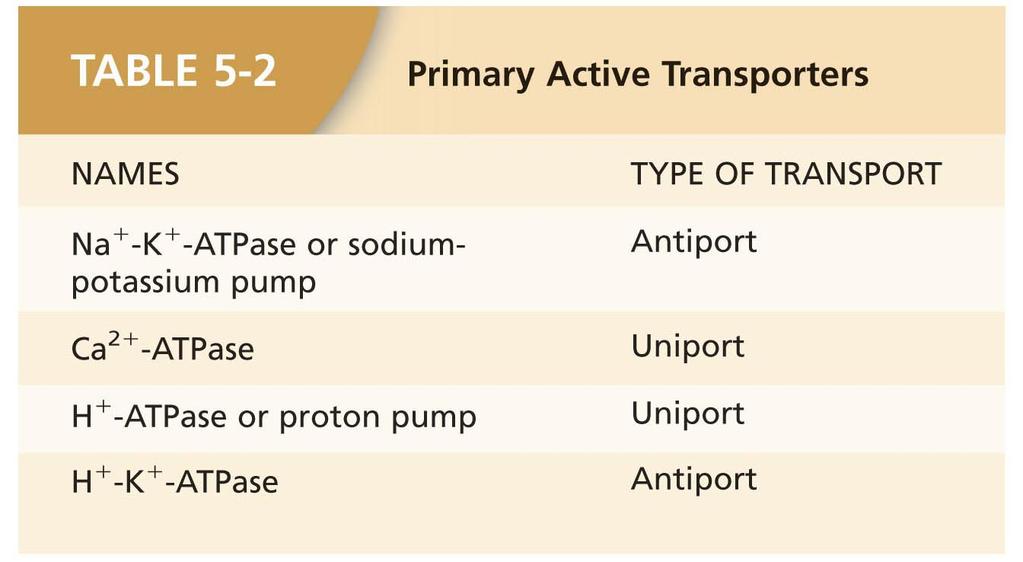 Secondary Active Transport -