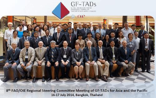 8th RSC Meeting of GF-TADs for