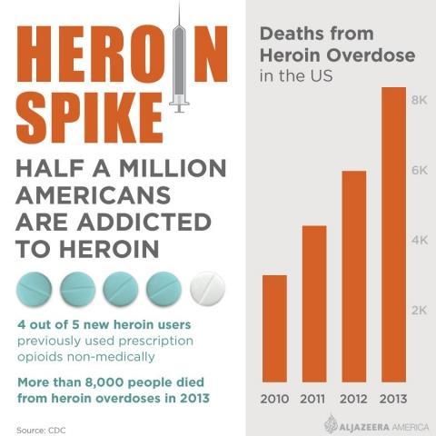 Heroin Problem Ninth Circuit/Orange County Heroin-Related Deaths 120 104 100 90 85 80 75 60 40 20