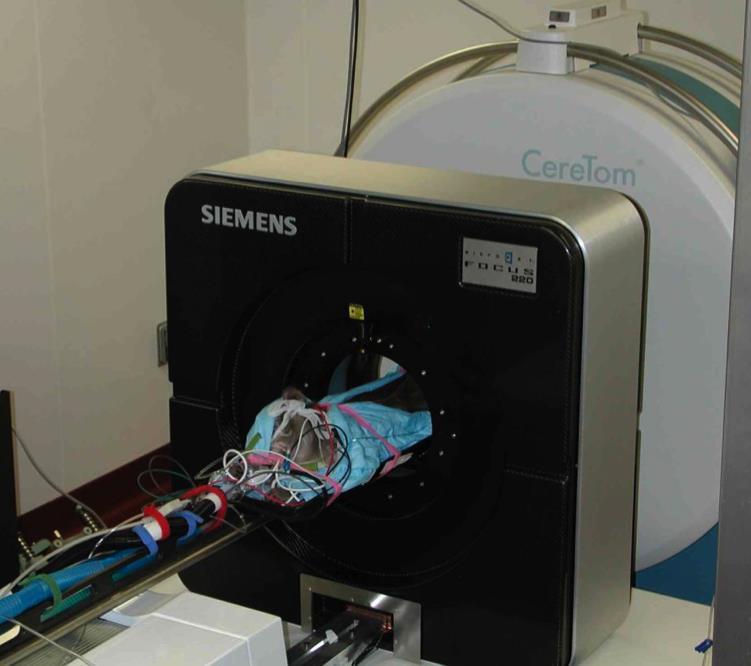 PET/CT imaging for serial tracking of disease Micro-PET/CT in