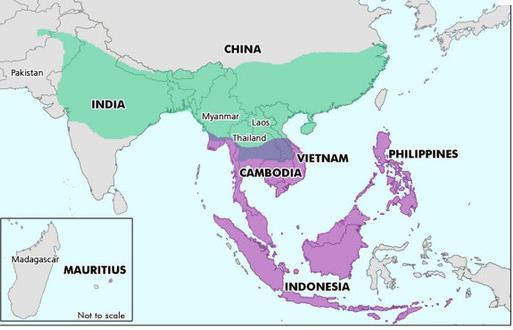 Primate Selection Issues Species Indian-origin Rhesus Macaques Chinese-origin Rhesus Macaques Highly susceptible Unclear if there are origin differences Develop fairly severe hilar adenopathy