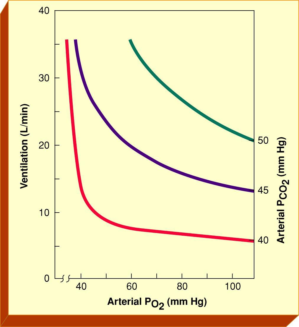 Effect of PaO 2 on Ventilation Fig. 9-7.