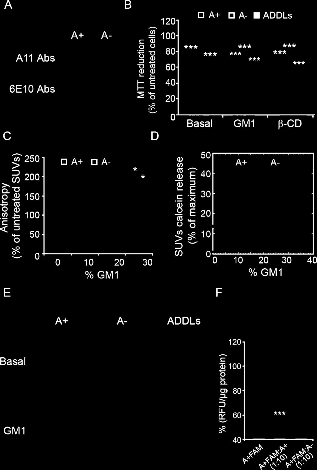 B) MTT reduction of basal, GM1-enriched (GM1), and cholesterol-depleted ( -CD) SH-SY5Y cells treated for 24 h with A+, A, and ADDLs oligomers (12 M, monomer equivalents).