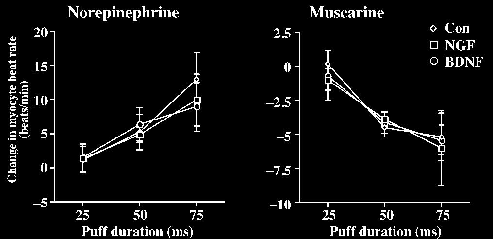 c d Fig. 1. BDNF promotes cholinergic trnsmission in sympthetic neuron myocyte cocultures.