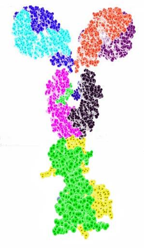 Human BBB Trojan horse fusion proteins: Re-engineering protein therapeutics for delivery to human brain