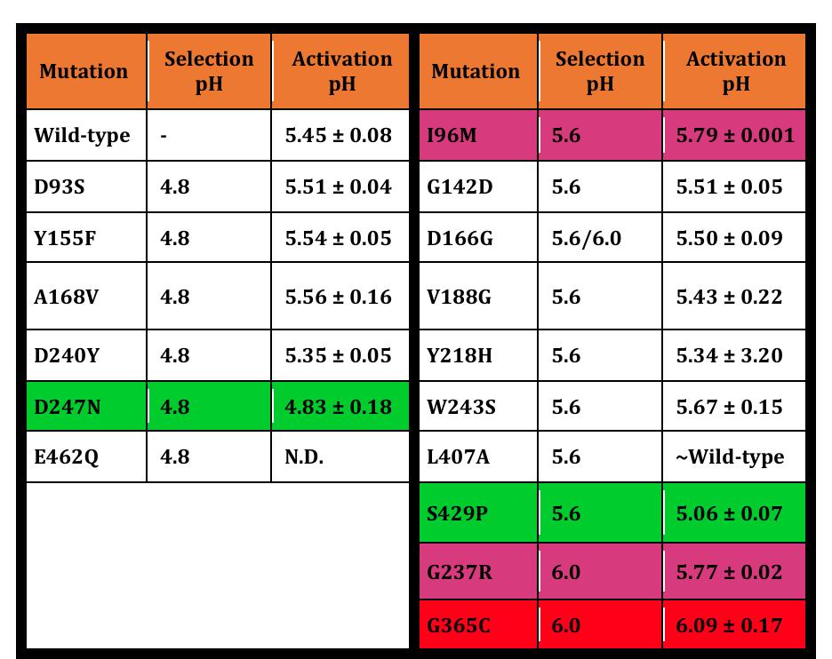 Table 1: Summary Table of Single Mutant Activation ph.