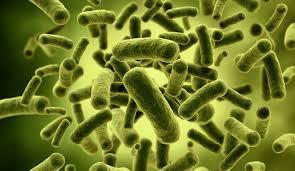 influences microbiota which has the potential to improve inflammation and symptoms Please let us know if you may be