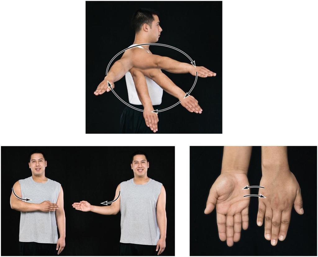 Types of Joint Movements Rotation Circumduction Supination/pronation Circumduction Supination