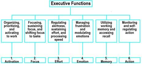Brown s Model of Executive Functions Impaired in ADHD (Brown, Outside the Box: Rethinking ADD/ADHD.