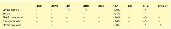 CD23 (CD21) Cyclin-D1 Ki-67 Immunophenotyping in DLBCL IHC panel for