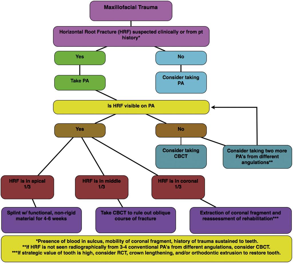 Figure 4. Flow chart illustrating diagnostic steps that should be undertaken when suspecting intra-alveolar fractures.