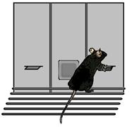 Non-devalued mice lever press