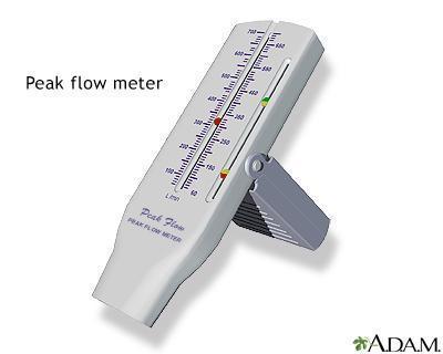 Peak flow meter A peak flow meter is a simple device to measure how quickly you can move air out of your lungs. It measures the force of breath out of the lungs.