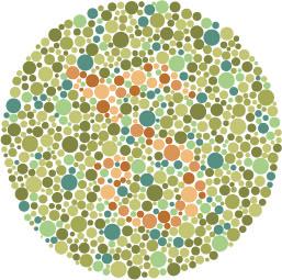 PseudoIsochromatic Plate Ishihara Compatible (PIPIC) Color Vision