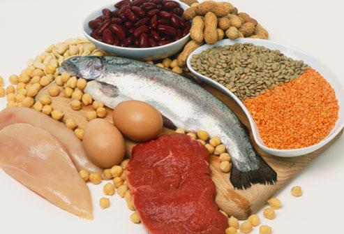 Background Proteins, made up of amino acids, are the major structural component of muscle and other body tissues.