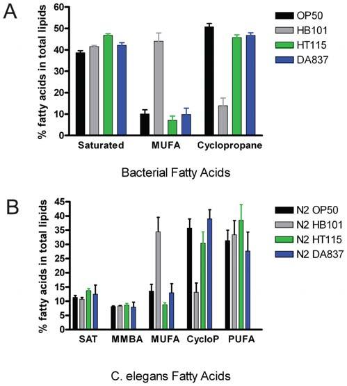 in most strains feeding on HB101, and therefore correlate inversely to overall TAG stores, were equally low in pept-1 mutants feeding on OP50 and HB101 (Figure 5D).