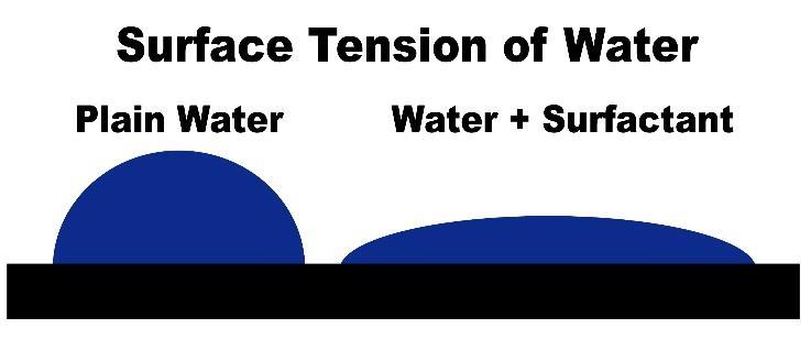 HOW DOES SURFACTANT LOWER SURFACE TENSION? Surfactant is a lipoprotein that has a hydrophobic tail and a hydrophobic head.