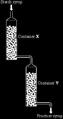 Q7. The diagram shows an industrial process. Containers X and Y contain enzymes. (a) Starch syrup slowly trickles into container X. The enzymes in container X convert the starch into glucose (sugar).