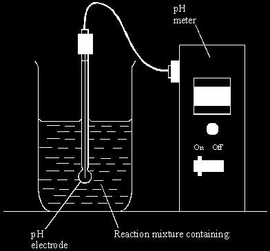 Q3. The diagram shows the apparatus used to investigate the digestion of milk fat by an enzyme.