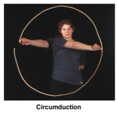 ABduction, ADduction, and Circumduction Figure from: