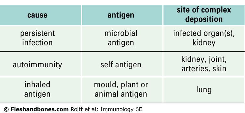 Type III Hypersensitivity Immune complexes may not be cleared because the antigen is present in high concentration (self antigen) or is persistently being produced e.g. due to chronic infection or occupational exposure.