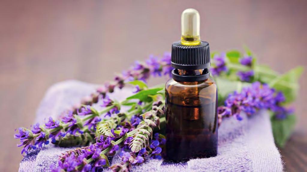 MAIN CHEMICAL COMPONENTS: LINALYL ACETATE, LINALOOL CLARY SAGE IS A BIENNIAL OR