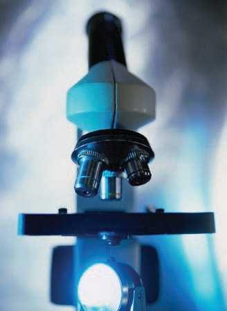 Diagnosis- Urine Microscopy