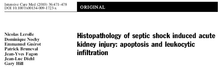 Histopathology Kidney lesions in septic